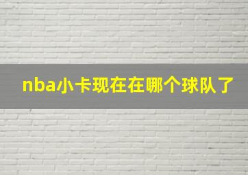 nba小卡现在在哪个球队了