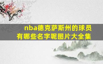 nba德克萨斯州的球员有哪些名字呢图片大全集