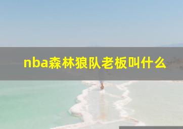 nba森林狼队老板叫什么