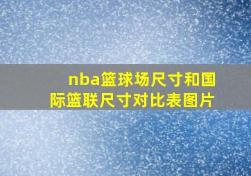 nba篮球场尺寸和国际篮联尺寸对比表图片