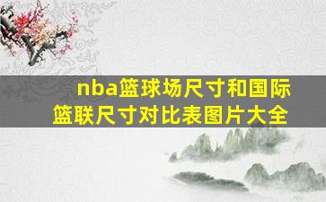 nba篮球场尺寸和国际篮联尺寸对比表图片大全