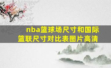 nba篮球场尺寸和国际篮联尺寸对比表图片高清