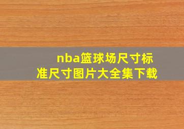 nba篮球场尺寸标准尺寸图片大全集下载