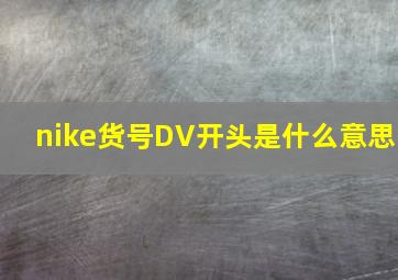 nike货号DV开头是什么意思