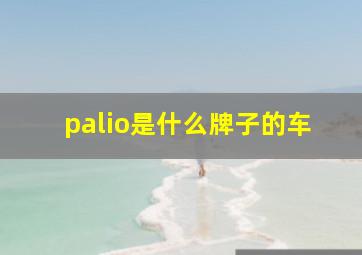 palio是什么牌子的车