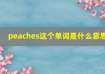 peaches这个单词是什么意思