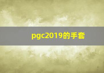 pgc2019的手套