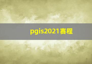 pgis2021赛程