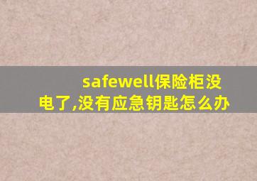 safewell保险柜没电了,没有应急钥匙怎么办