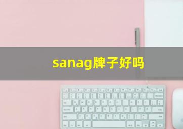 sanag牌子好吗