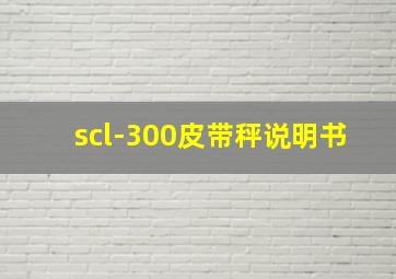 scl-300皮带秤说明书