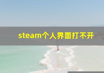 steam个人界面打不开