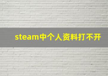 steam中个人资料打不开