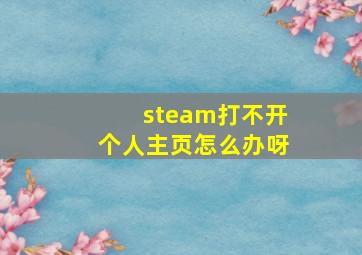 steam打不开个人主页怎么办呀