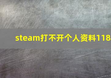 steam打不开个人资料118