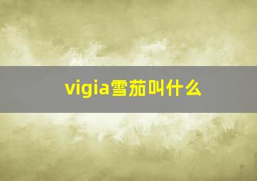 vigia雪茄叫什么