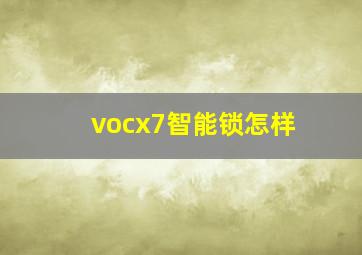 vocx7智能锁怎样