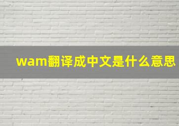 wam翻译成中文是什么意思