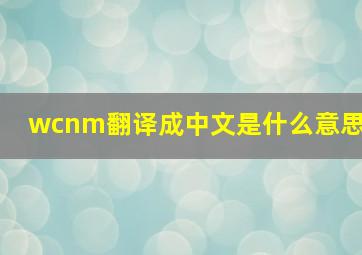 wcnm翻译成中文是什么意思