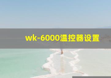 wk-6000温控器设置