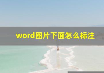 word图片下面怎么标注