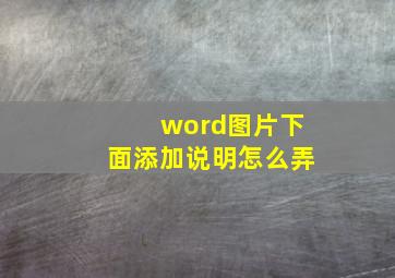 word图片下面添加说明怎么弄