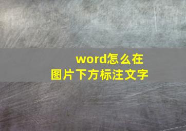 word怎么在图片下方标注文字