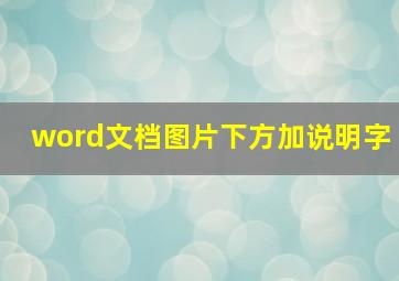 word文档图片下方加说明字