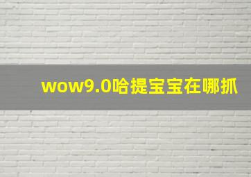 wow9.0哈提宝宝在哪抓