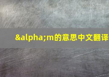 αm的意思中文翻译