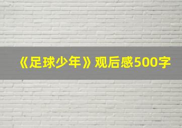 《足球少年》观后感500字