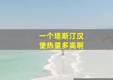 一个塔斯汀汉堡热量多高啊