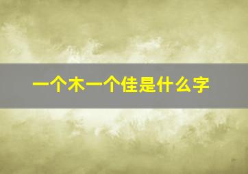 一个木一个佳是什么字