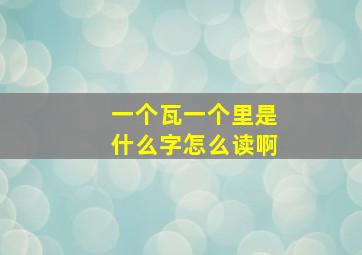 一个瓦一个里是什么字怎么读啊