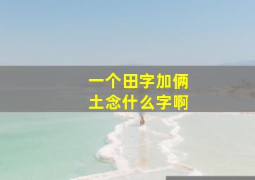 一个田字加俩土念什么字啊