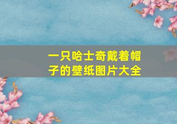 一只哈士奇戴着帽子的壁纸图片大全