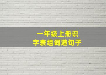 一年级上册识字表组词造句子