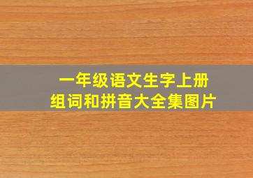 一年级语文生字上册组词和拼音大全集图片