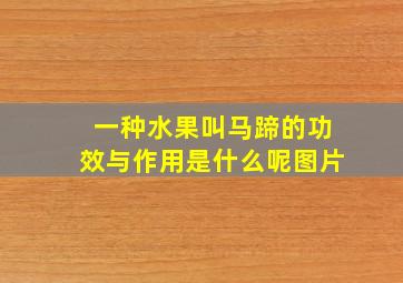 一种水果叫马蹄的功效与作用是什么呢图片