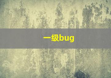 一级bug