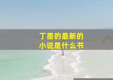 丁墨的最新的小说是什么书