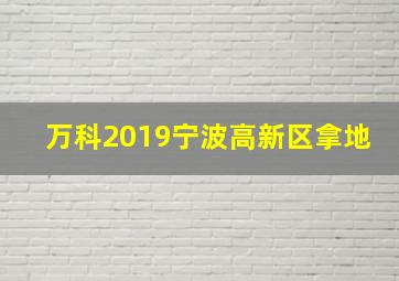 万科2019宁波高新区拿地