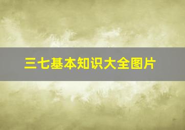 三七基本知识大全图片