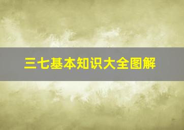 三七基本知识大全图解