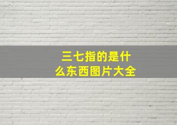 三七指的是什么东西图片大全