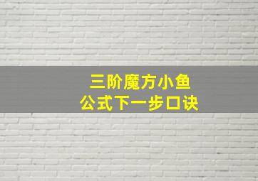 三阶魔方小鱼公式下一步口诀