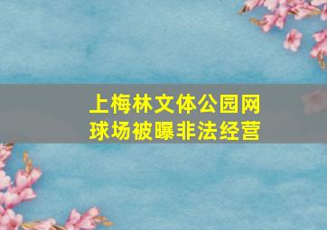 上梅林文体公园网球场被曝非法经营