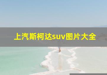 上汽斯柯达suv图片大全