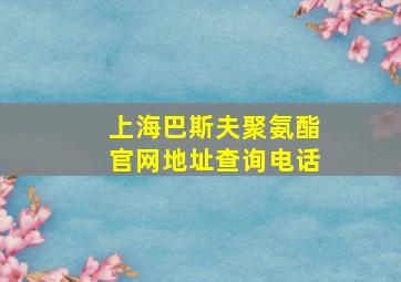 上海巴斯夫聚氨酯官网地址查询电话