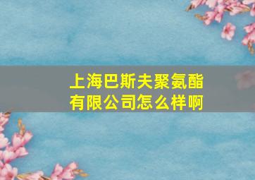 上海巴斯夫聚氨酯有限公司怎么样啊